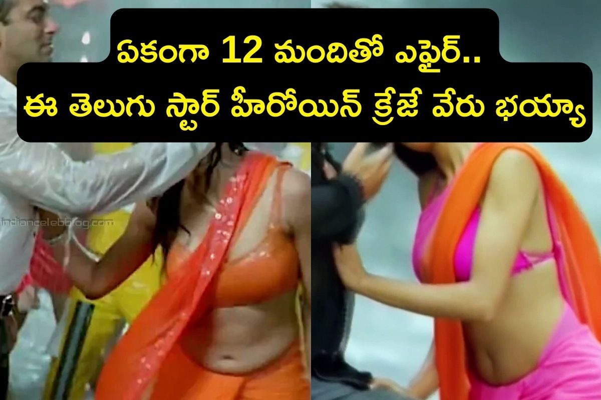 Star Heroine: ఏకంగా 12 మందితో ఎఫైర్.. కట్ చేస్తే ,పెళ్లి కాకుండానే తల్లి.. ఈ తెలుగు స్టార్ హీరోయిన్ క్రేజే వేరు భయ్యా!