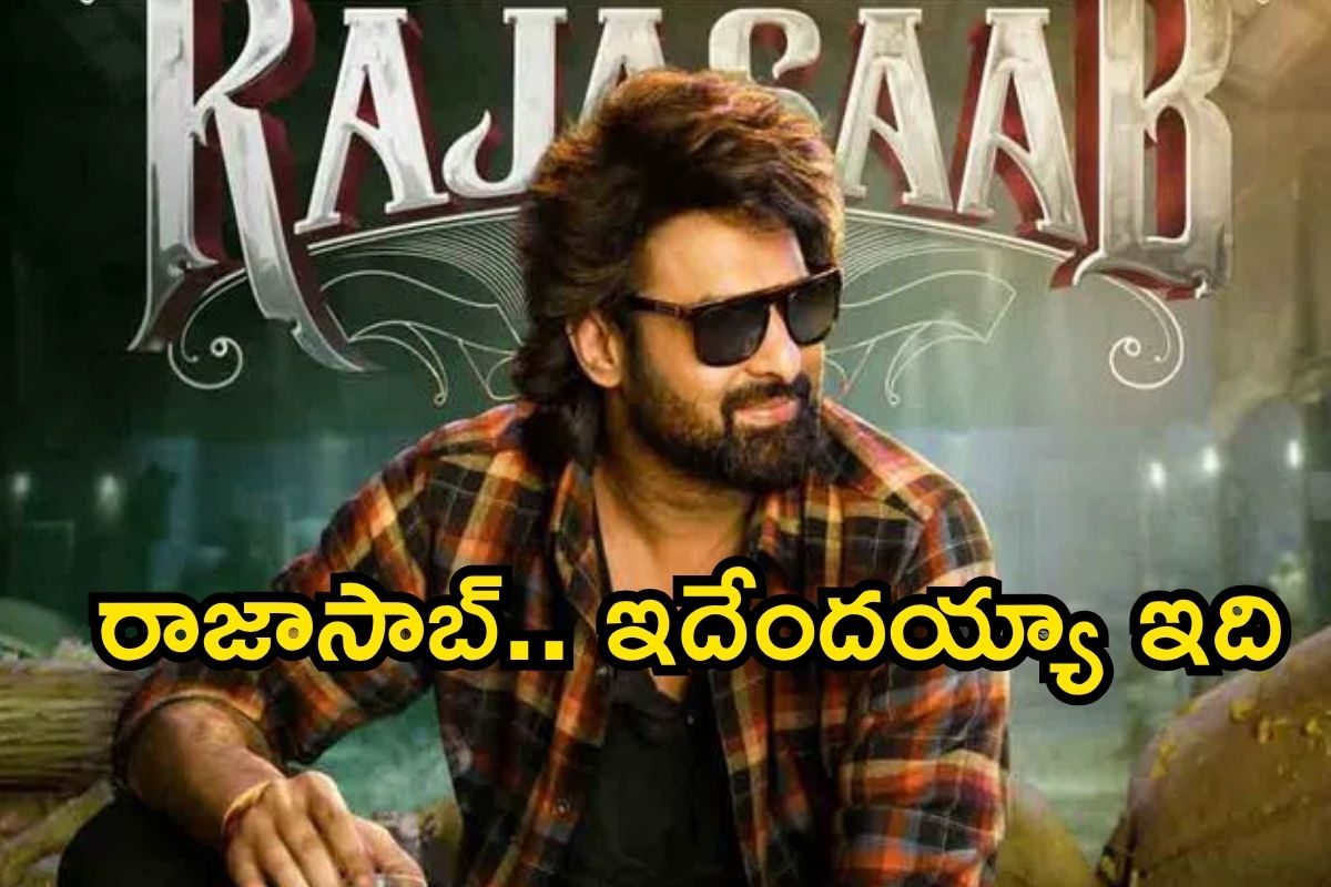 The Raja Saab: రాజాసాబ్ స్టోరీ లీక్‌ చేసిన ప్రభాస్‌.. సినిమాలో హైలైట్స్ ఇవేనంటూ ఓపెన్