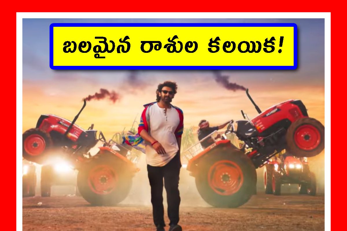 Raja Saab Astrology: రాజాసాబ్ సినిమాలో రాశుల బ్యాలెన్స్.. ప్రభాస్ ఖాతాలో మరో ఫ్యామిలీ హిట్!