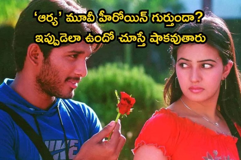 Allu Arjun: ‘ఆర్య’ మూవీ హీరోయిన్ గుర్తుందా బాసూ..! ఇప్పుడెలా ఉంది, ఏం చేస్తుందో తెలుసా..?