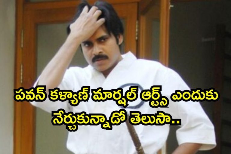 Pawan Kalyan: అసలు పవన్ కళ్యాణ్‌ మార్షల్ ఆర్ట్స్‌ జర్నీ ఎలా మొదలైందో తెలుసా? ఒక్కో సీక్రెట్ తెలిస్తే షాకవుతారు భయ్యా