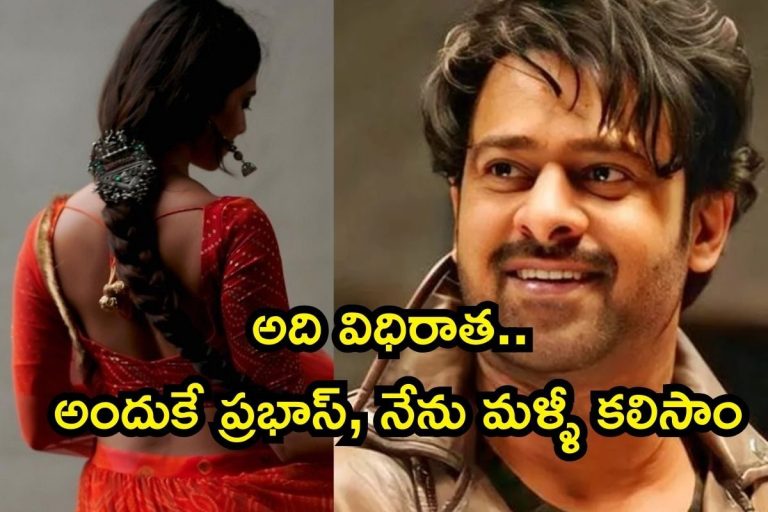Telugu Heroine: అది విధిరాత.. అందుకే ప్రభాస్, నేను మళ్ళీ కలిసాం.. యంగ్ హీరోయిన్ ఓపెన్