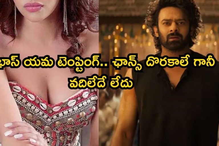 Prabhas: ప్రభాస్ యమ టెంప్టింగ్‌ అబ్బా, ఛాన్స్ దొరకాలే గానీ వదిలేదే లేదు.. హాట్ బ్యూటీ బ్లాస్టింగ్