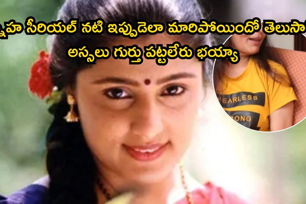 Sneha Serial Kaveri: స్నేహ సీరియల్ నటి గుర్తుందా? ఆమె ఎక్కడుంది.. ఇప్పుడెలా ఉందో చూస్తే షాకవుతారు