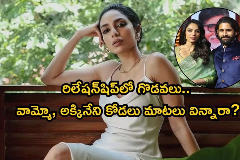 Sobhita Dhulipala: రిలేషన్‌‌షిప్‌లో గొడవలు.. వామ్మో, అక్కినేని కోడలు మాటలు విన్నారా? అప్పుడు నాగ చైతన్య, ఇప్పుడు శోభిత