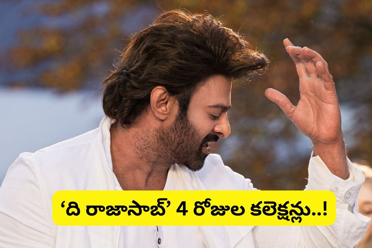 The Raja Saab Movie: రూ.200 కోట్ల సింహాసంపై రాజాసాబ్.. కానీ..?