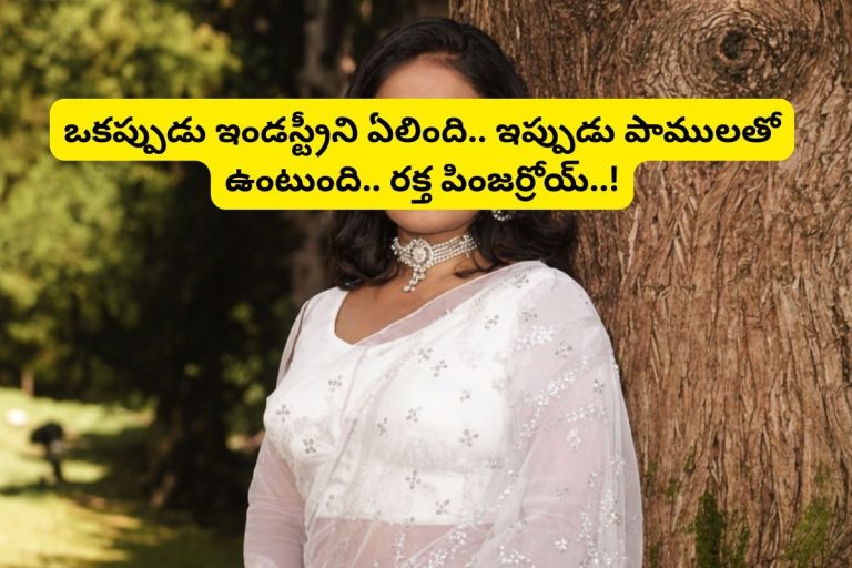 Actress: ఒకప్పుడు తోపు హీరోయిన్.. ఇప్పుడు పాములతో ఉంటుంది.. రక్త పింజర్రోయ్.. బుసకొడుతుందిరోయ్!
