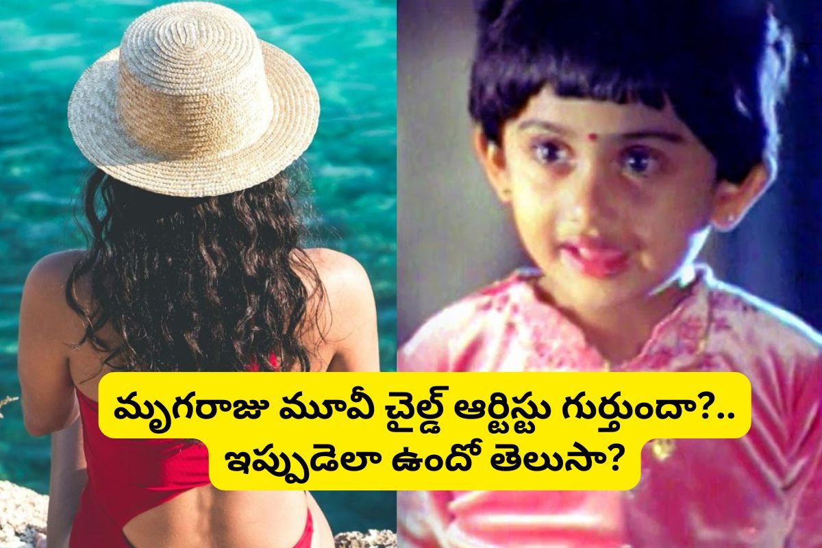 Chiranjeevi: 'మృగరాజు' సినిమాలో చిరంజీవి కూతురు గుర్తుందా?.. ఇప్పుడెలా ఉందో చూస్తే ఫ్యూజులు అవుట్.. ఎంటి బ్రో ఇప్పుడిలా అయిపోయింది..!