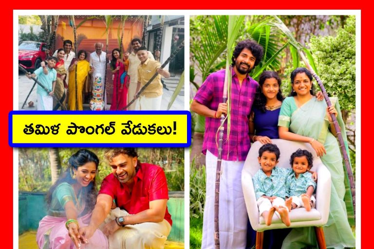 Pongal Photos: నయనతార నుంచి శివకార్తికేయన్ వరకూ.. ఘనంగా పొంగల్ వేడుకలు. ఫొటోలు చూడండి!