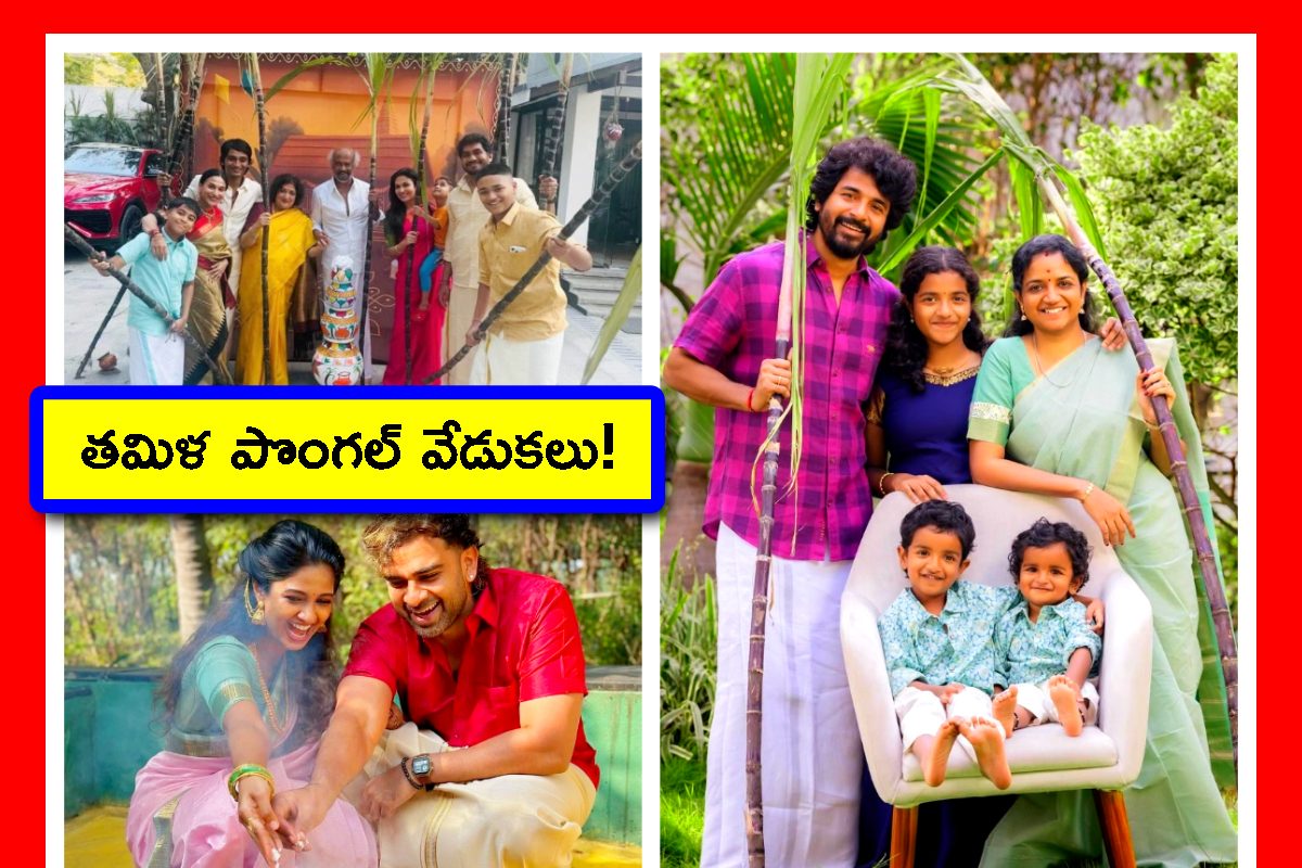 Pongal Photos: నయనతార నుంచి శివకార్తికేయన్ వరకూ.. ఘనంగా పొంగల్ వేడుకలు. ఫొటోలు చూడండి!
