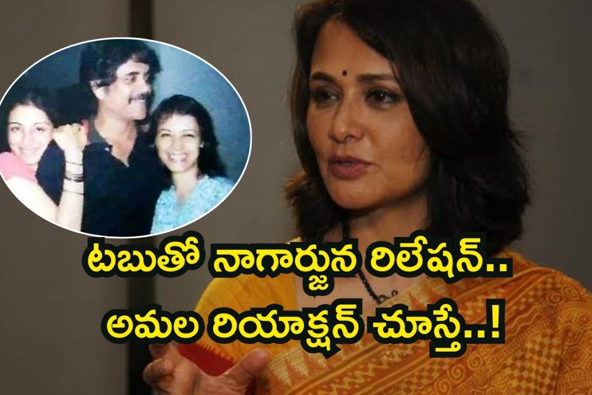 Nagarjuna- Tabu: నాగార్జున, టబు రిలేషన్‌షిప్.. అమలకు అన్నీ తెలుసు..!