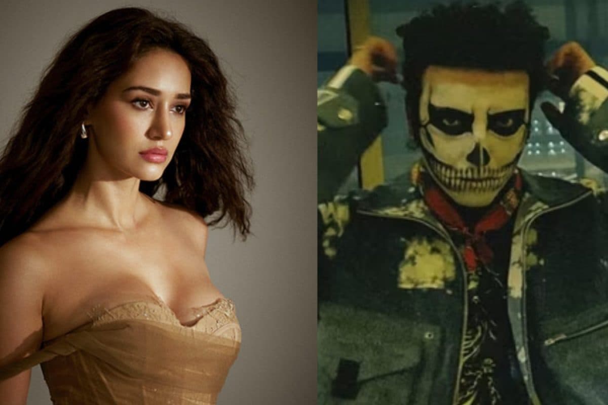 Disha Patani: దిశా పటానీతో డేటింగ్.. ఎట్టకేలకు అసలు విషయం బయటపెట్టిన బాయ్ ఫ్రెండ్, ట్విస్ట్ మామూలుగా లేదే