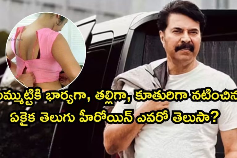 Telugu heroine: మమ్ముట్టికి భార్యగా, తల్లిగా, కూతురిగా నటించిన ఏకైక తెలుగు హీరోయిన్ ఎవరో తెలుసా? కుర్రాళ్ళు పిచ్చెక్కిపోయే బ్యూటీ భయ్యా