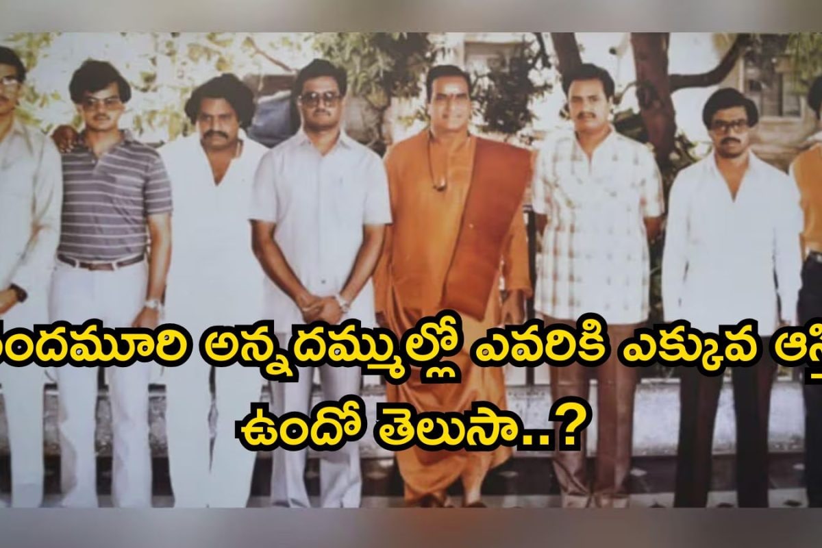 Nandamuri Heroes: నందమూరి అన్నదమ్ముల్లో ఎవరికి ఎక్కువ ఆస్తి ఉందో తెలుసా..? ఈ ఒక్కడు మామూలు తోపు కాదయ్యో, వేల కోట్ల ఆస్తులు