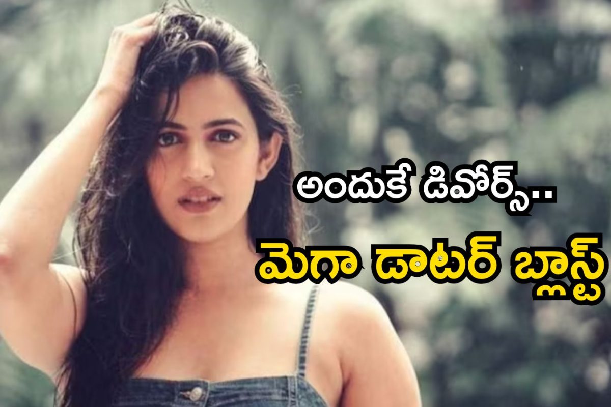 Niharika: విడాకులపై నిహారిక బ్లాస్టింగ్ కామెంట్స్.. అత్తారింట్లో ఇంత జరిగిందా? మరి రెండో పెళ్లి..