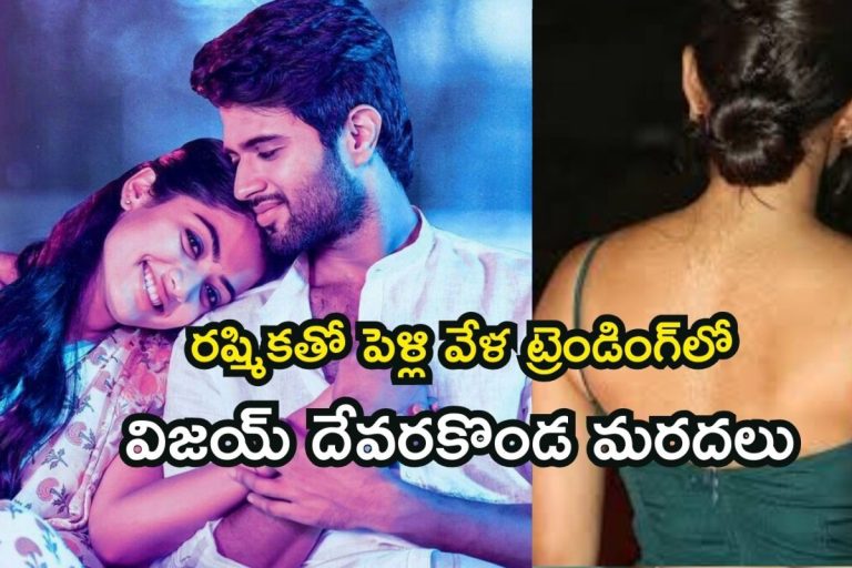 Vijay Deverakonda: రష్మికతో పెళ్లి.. ఒక్కసారిగా సీన్‌లోకి వచ్చేసిన విజయ్ దేవరకొండ మరదలు, ఎవ్వరికీ తెలియని రహస్యాలు