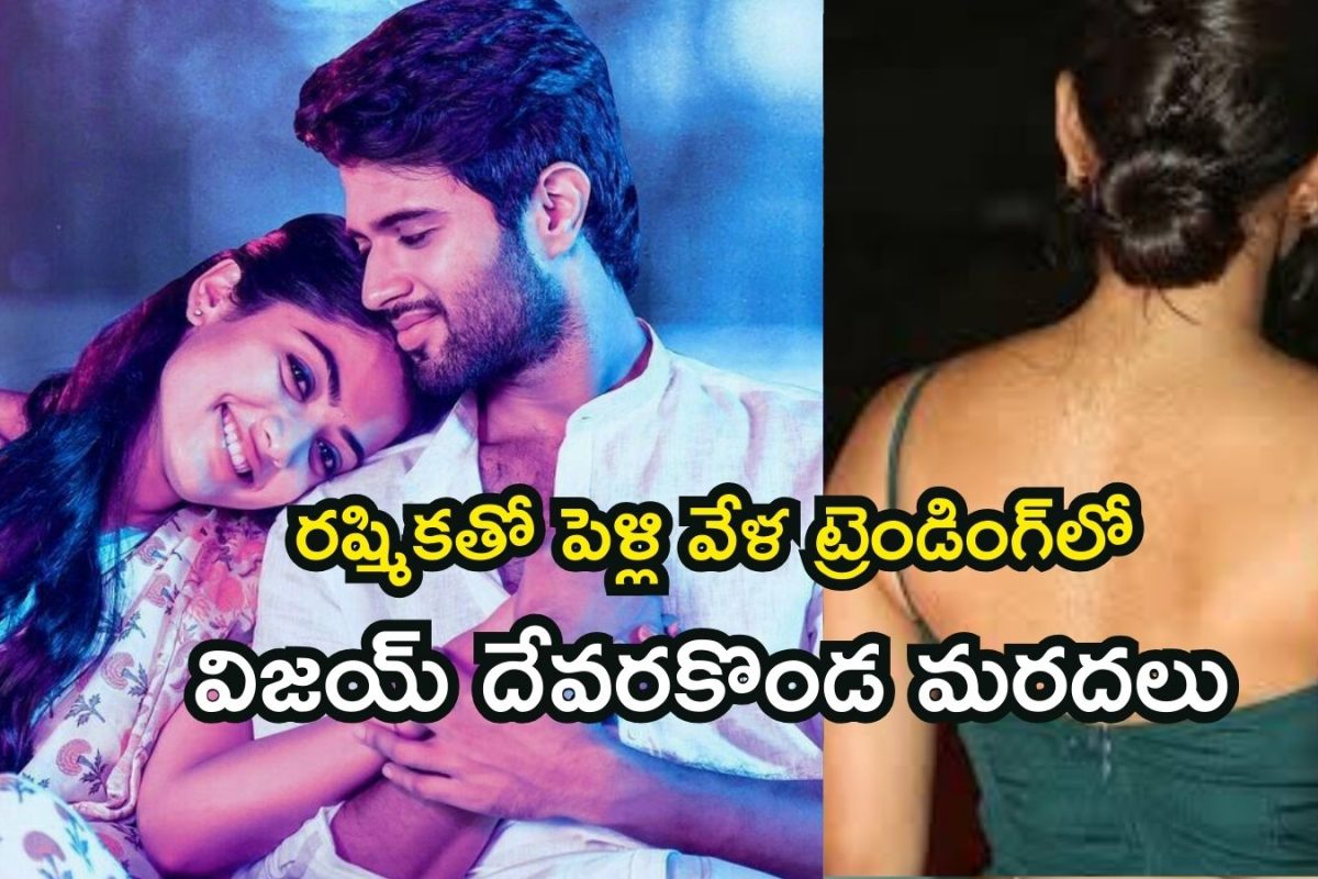 Vijay Deverakonda: రష్మికతో పెళ్లి.. ఒక్కసారిగా సీన్‌లోకి వచ్చేసిన విజయ్ దేవరకొండ మరదలు, ఎవ్వరికీ తెలియని రహస్యాలు