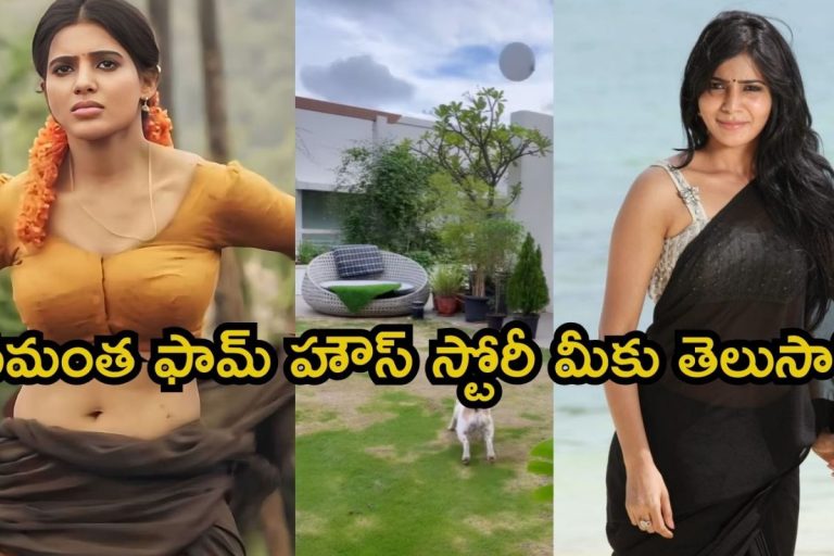 Samantha: సమంత ఫామ్ హౌస్ స్టోరీ మీకు తెలుసా? వామ్మో, ఒక్కొక్కటి వింటుంటే దిమ్మతిరిగిపోతోందిరా బాబూ..