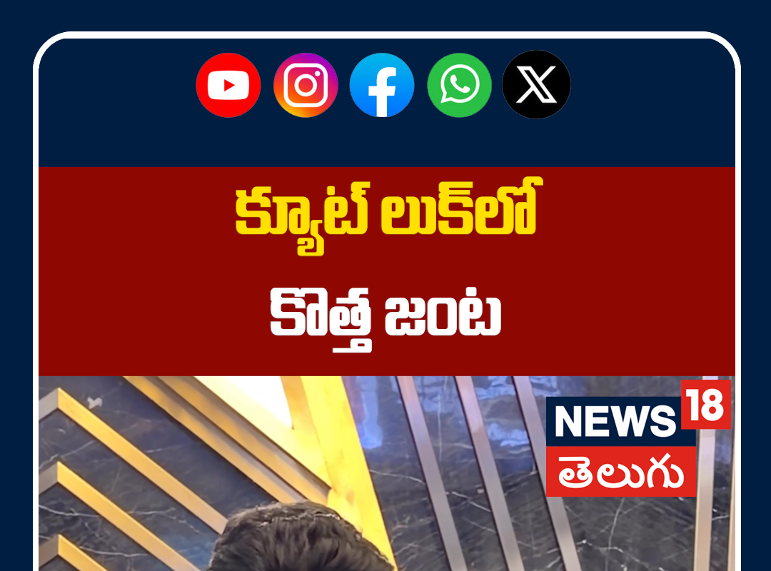 Allu Sirish & Nainika Cute Appearance at Allu Cinema Theatre Opening | క్యూట్ లుక్‌లో కొత్త జంట