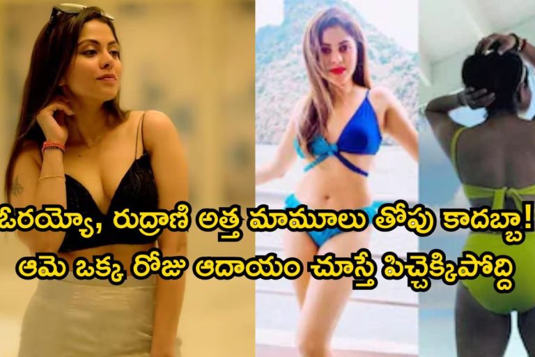 Brahmamudi : బ్రహ్మముడి రుద్రాణి బ్యాక్ గ్రౌండ్ తెలుసా? వామ్మో, ఈ రేంజ్ ఆస్తులేంట్రా బాబూ..