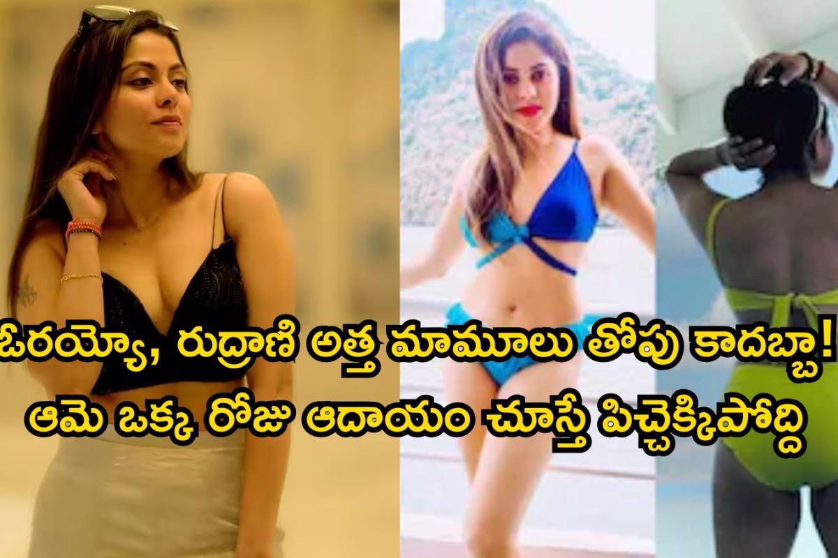 Brahmamudi : బ్రహ్మముడి రుద్రాణి బ్యాక్ గ్రౌండ్ తెలుసా? వామ్మో, ఈ రేంజ్ ఆస్తులేంట్రా బాబూ..