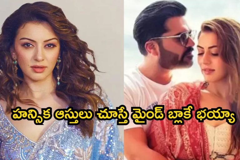 Hansika Net Worth: హన్సిక ఆస్తులు చూస్తే మైండ్ బ్లాకే.. అందుకే భరణం కూడా వద్దందా? బంగ్లాలు,కార్లు ఎన్ని ఉన్నాయంటే..