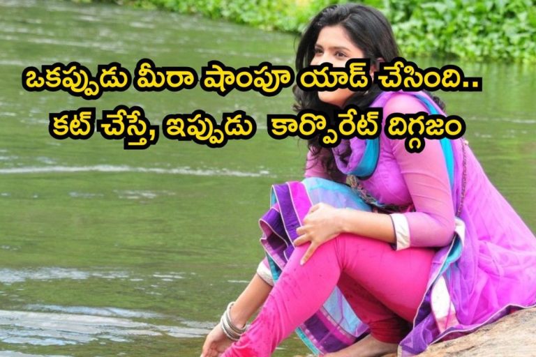 Heroine: సినిమాలు వదిలేసి కార్పొరేట్‌ జాబ్‌ చేస్తున్న ప్రభాస్ హీరోయిన్.. ఎవరో తెలుసా?