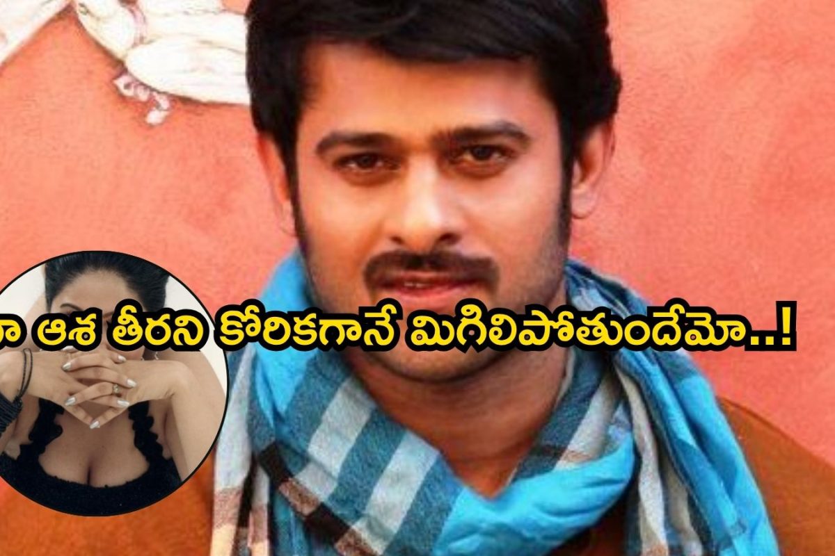 Prabhas: ప్రభాస్ అంటే చెప్పలేనంత ఇష్టం, కొన్నేళ్లుగా వెయిటింగ్ ఇక్కడ.. సీనియర్ హీరోయిన్ ఓపెన్ కామెంట్స్