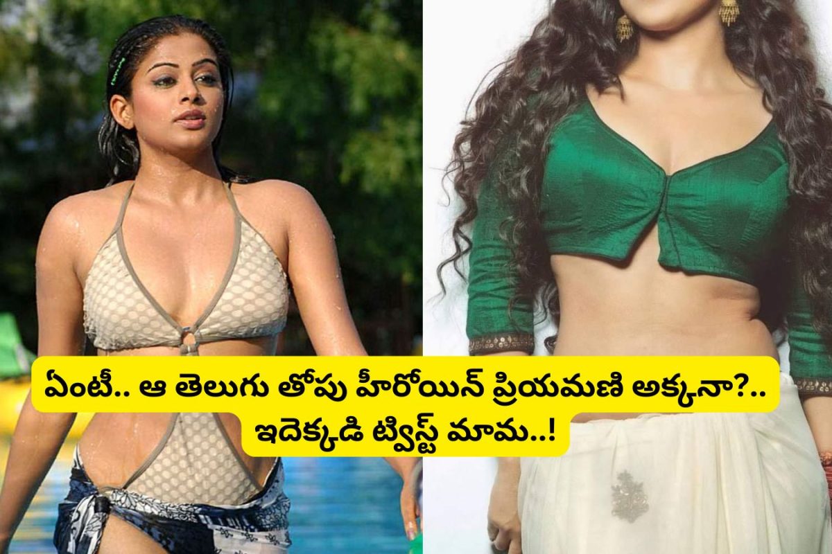 Priyamani: ప్రియమణి అక్క తెలుగులో స్టార్ హీరోయిన్ అని తెలుసా?.. బాలయ్యతో రూ.100 కోట్ల డిజాస్టర్ సినిమాలు కూడా చేసింది..!