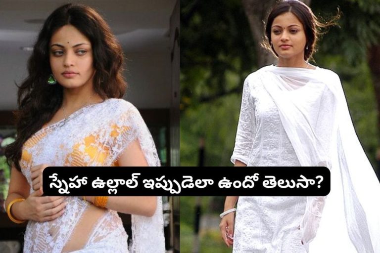 Sneha Ullal: స్నేహా ఉల్లాల్ గుర్తుందా?.. ఇప్పడెలా అయిపోయిందో చూస్తే జడసుకుంటారు.. ఎలా ఉండే బ్యూటీ ఎలా అయిపోయింది మామ..!