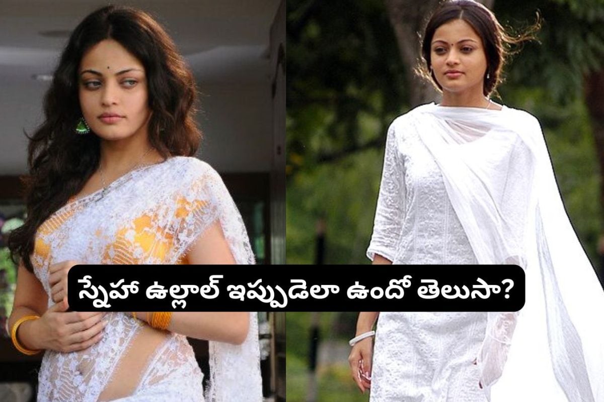 Sneha Ullal: స్నేహా ఉల్లాల్ గుర్తుందా?.. ఇప్పడెలా అయిపోయిందో చూస్తే జడసుకుంటారు.. ఎలా ఉండే బ్యూటీ ఎలా అయిపోయింది మామ..!