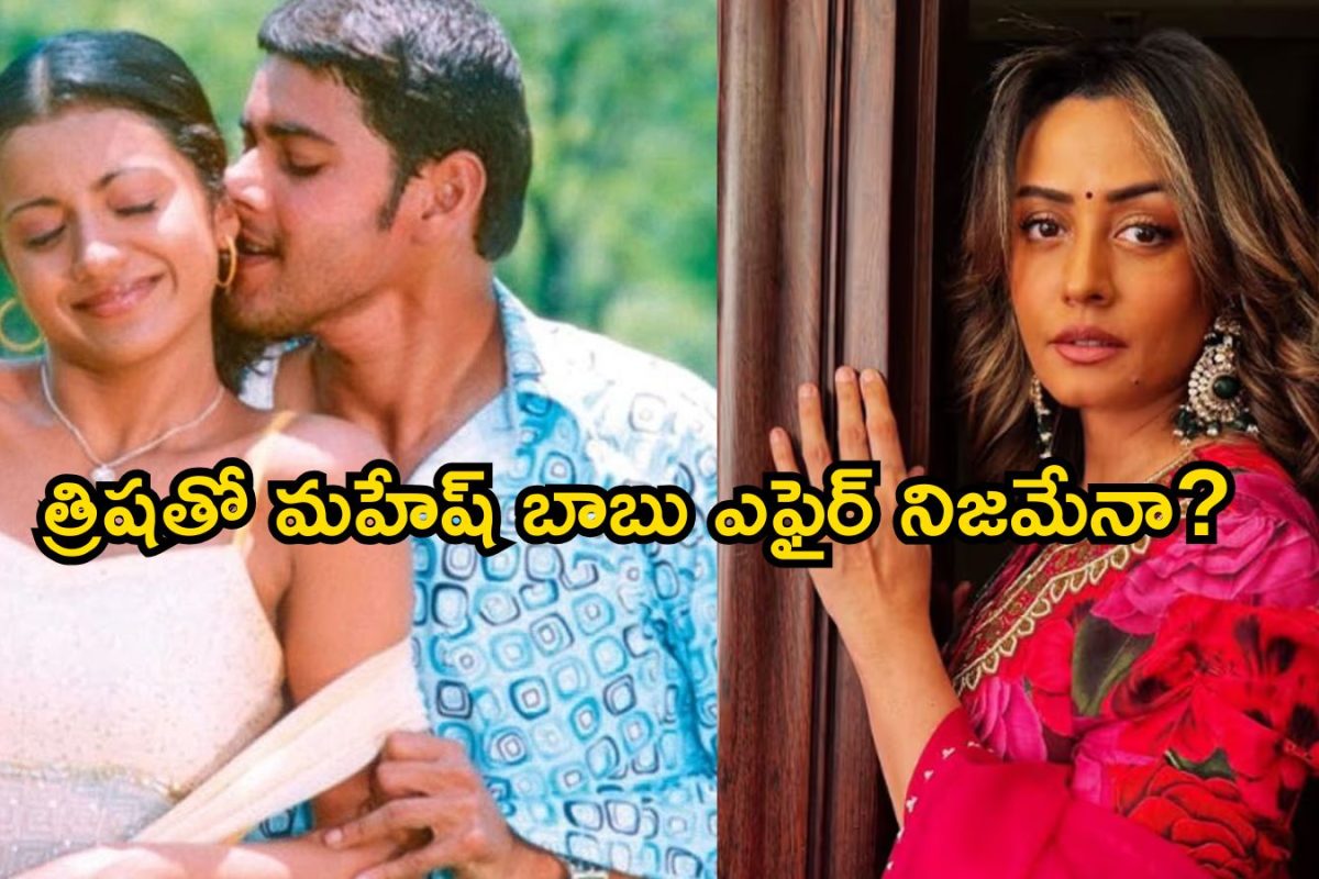 Mahesh Babu: త్రిషతో మహేష్ బాబు ఎఫైర్ నిజమేనా? మైండ్ బ్లాక్ అయ్యే విషయాలు బయటపెట్టిన టాలీవుడ్ దర్శకుడు