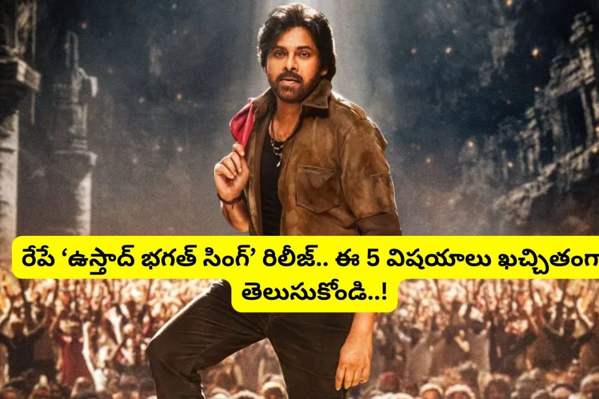 Ustaad Bhagat Singh Movie: 'ఉస్తాద్ భగత్ సింగ్' సినిమాకు వెళ్తున్నారా?.. ఖచ్చితంగా ఈ 5 విషయాలు తెలుసుకోండి..!