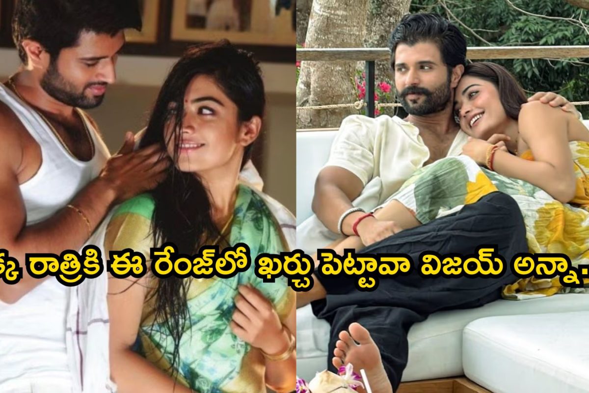 Vijay Rashmika: హనీమూన్ కాదది బడ్డీమూన్.. వామ్మో, ఒక్క రాత్రి కోసం ఈ రేంజ్‌లో ఖర్చు పెట్టావా విజయ్ అన్నా..!