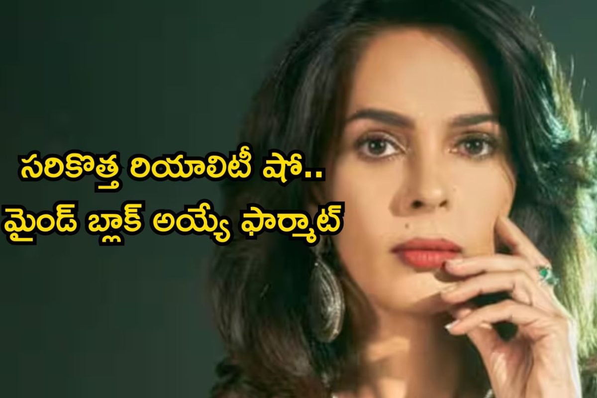 Reality Show: వెన్నుపోటు, నమ్మక ద్రోహమే ఈ రియాలిటీ షో కాన్సెప్ట్.. సెలబ్రిటీలతో ప్యాలెస్‌లో డ్రామా, ఈ సారి సరికొత్తగా భయ్యా