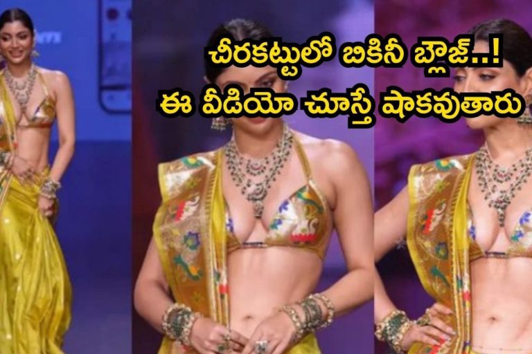Serial Actress: చీరపై బికినీ బ్లౌజ్‌.. ఇదేందిరా సామీ ఇలాంటి డ్రెస్ వేసింది, సీరియల్ నటిపై బండబూతులు