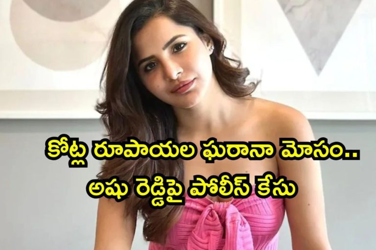 Ashu Reddy: ప్రేమ, పెళ్లి అని నమ్మించి కోట్ల రూపాయల ఘరానా మోసం.. అషు రెడ్డిపై పోలీస్ కేసు