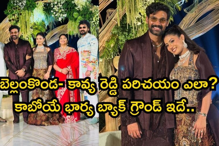 Bellamkonda Sai Sreenivas: ఘనంగా బెల్లంకొండ సాయి శ్రీనివాస్‌ ఎంగేజ్‌మెంట్.. కాబోయే భార్య బ్యాక్ గ్రౌండ్ మామూలుగా లేదబ్బా..