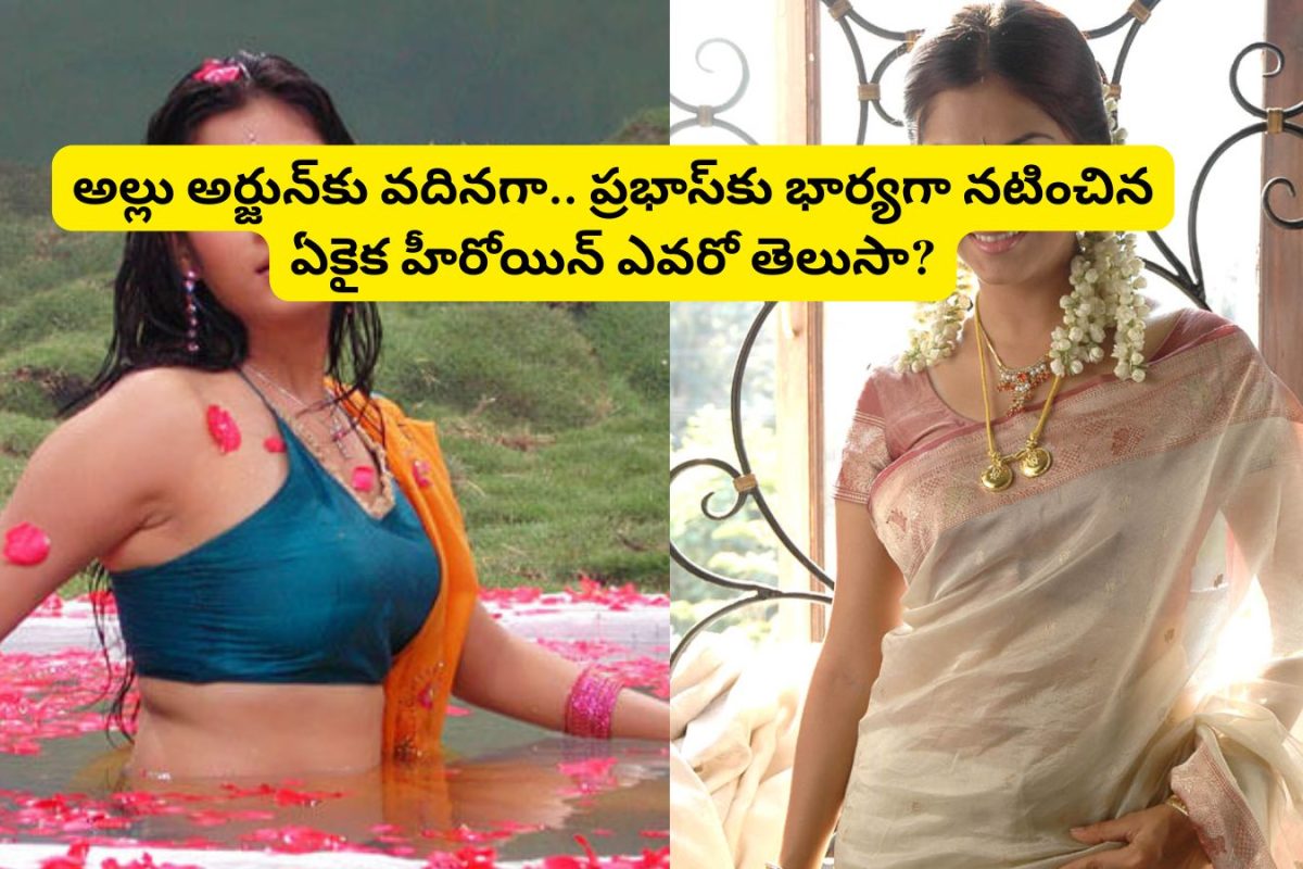 Allu Arjun: అల్లు అర్జున్‌కు వదినగా.. ప్రభాస్‌కు భార్యగా నటించిన ఏకైక హీరోయిన్ ఎవరో తెలుసా?