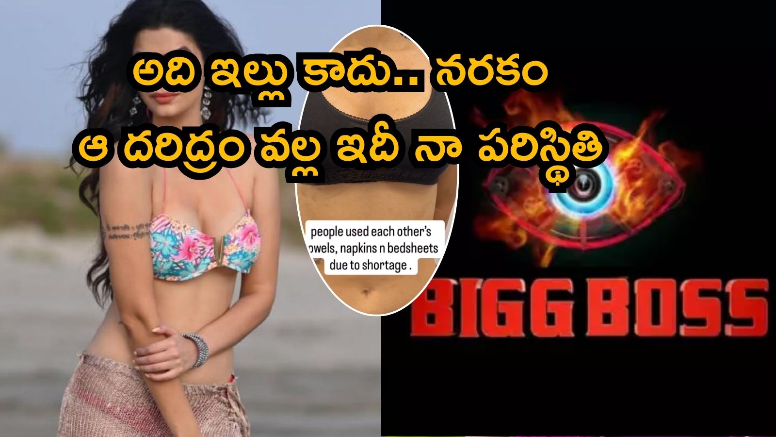 Bigg Boss Show: చిఛీ, అంతా దరిద్రం.. బిగ్ బాస్‌ చీకటి నిజం బయటపెడుతూ సినీ నటి సంచలనం