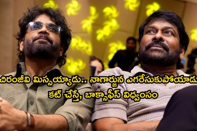 Akkineni Nagarjuna: చిరంజీవి మిస్ చేసుకున్న బిగ్గెస్ట్ బ్లాక్ బస్టర్.. ఒక్క దెబ్బకు నాగార్జున బాక్సాఫీస్ కింగ్ అయిపోయాడు