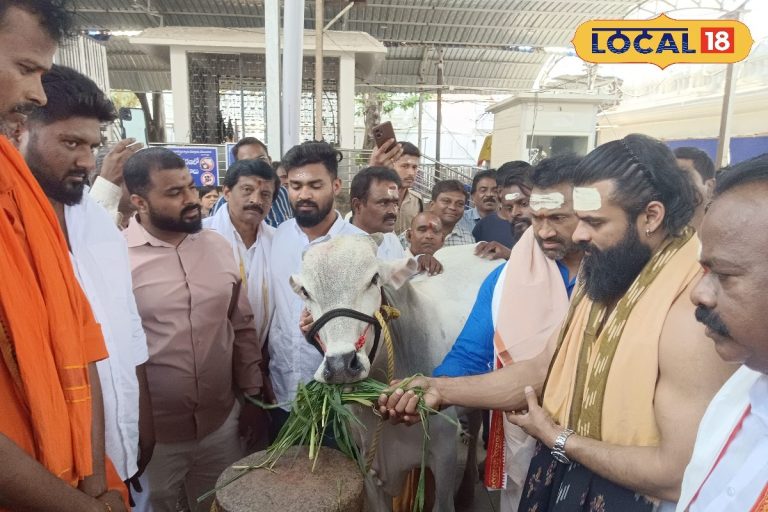 Sai Durga Tej: రాజన్న, అంజన్న సన్నిధిలో మెగా హీరో.. సాయిధర్మ తేజ్ ప్రత్యేక పూజలకు కారణం..?