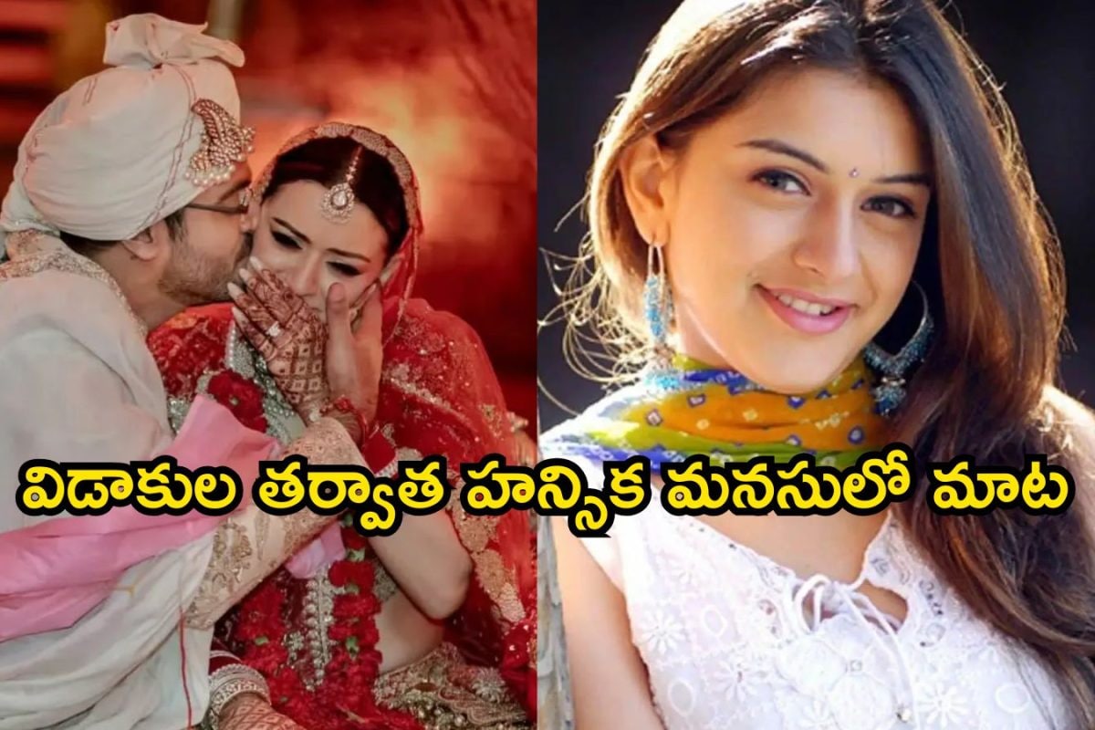 Hansika: ఊరికే విడాకులు తీసుకోలేదు.. డివోర్స్ తర్వాత తొలిసారి హన్సిక సెన్సేషనల్ కామెంట్స్