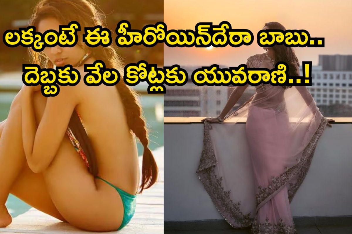 Telugu Heroine: ఒకప్పుడు రొమాంటిక్ సినిమాలతో రచ్చ.. కట్ చేస్తే టాలీవుడ్ స్టార్ హీరోతో రెండో పెళ్లి, దెబ్బకు దశ తిరిగి వేల కోట్లకు యువరాణి