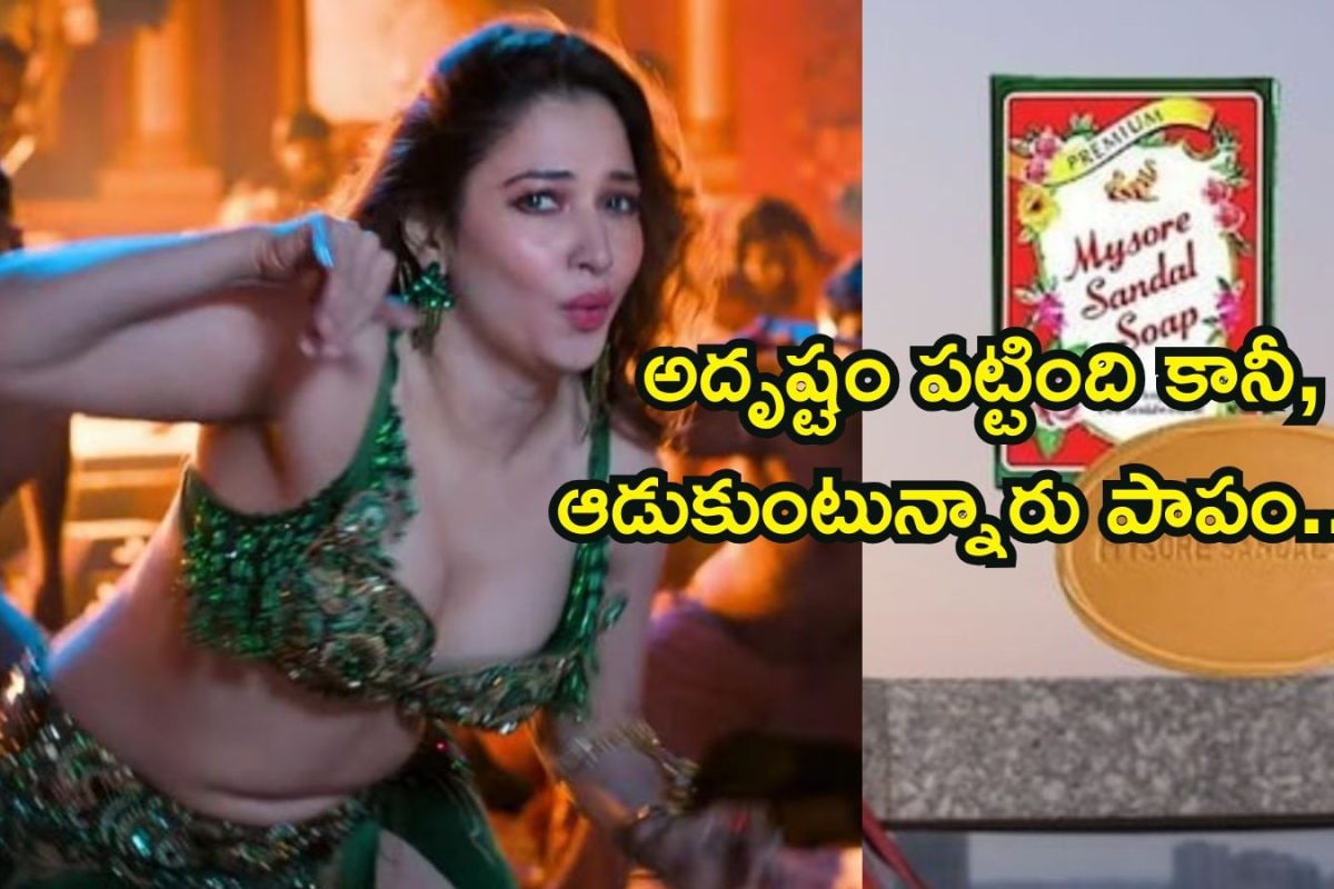 Tamannaah: మైసూర్ శాండల్ సోప్ అంబాసిడర్‌గా తమన్నా.. వామ్మో, ఈ రేంజ్ రెమ్యూనరేషన్ ఏంటి పాప, జనాలు పిచ్చోళ్లవుతున్నారు