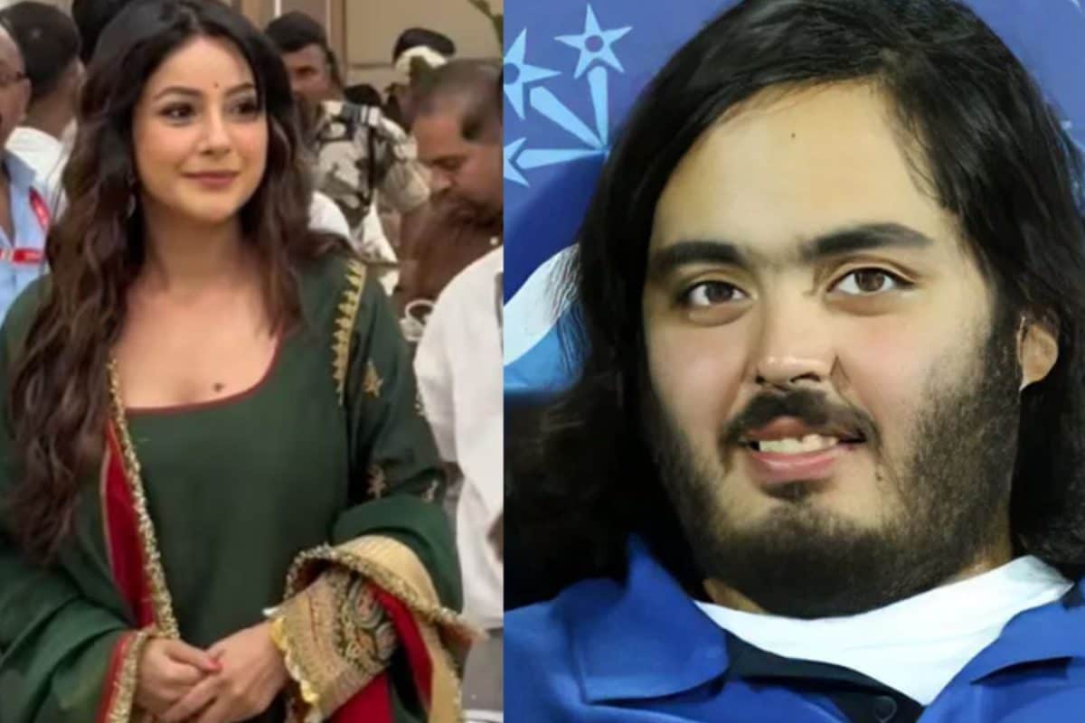 Anant Ambani: అంబానీ బర్త్‌డే వేడుకలు.. జామ్‌నగర్‌లో తారల తళుకులు.. రక్తదాన శిబిరంలో షెహనాజ్ గిల్ సందడి..!