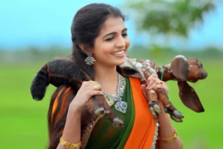 Folk Song: భలే పల్లెటూరి పాట మావ ఇది.. యూట్యూబ్‌లో కిర్రాక్ రెస్పాన్స్