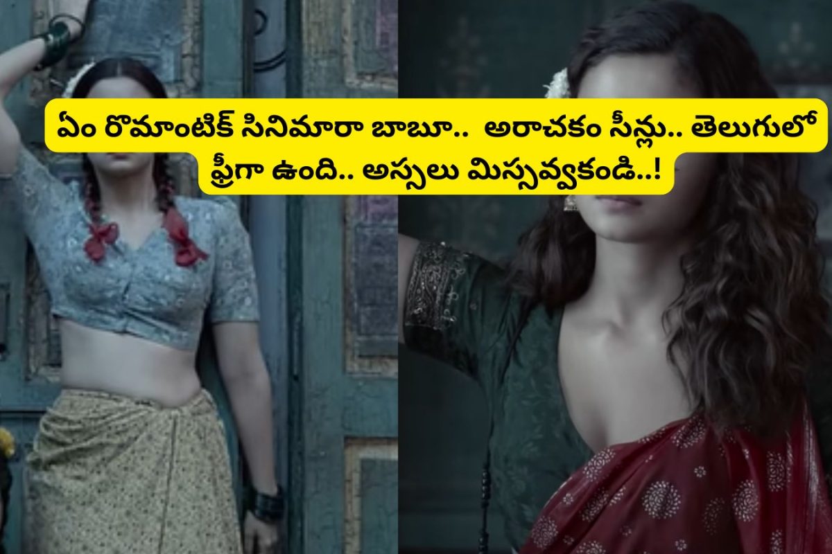 OTT: 49 అవార్డులు, రూ.209 కోట్ల కలెక్షన్లు.. ఓటీటీలో గత్తరలేపుతున్న ప్రాస్టిట్యూట్ సినిమా.. తెలుగులో ఫ్రీగా ఉంది..!