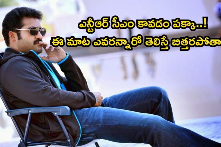 Jr Ntr: జూ.ఎన్టీఆర్ పక్కా సీఎం అవుతారు.. ఆయన పార్టీ పెడితే మేము అందులోకే..! దమ్మున్న లీడర్ కామెంట్లతో ఇండస్ట్రీ షేక్