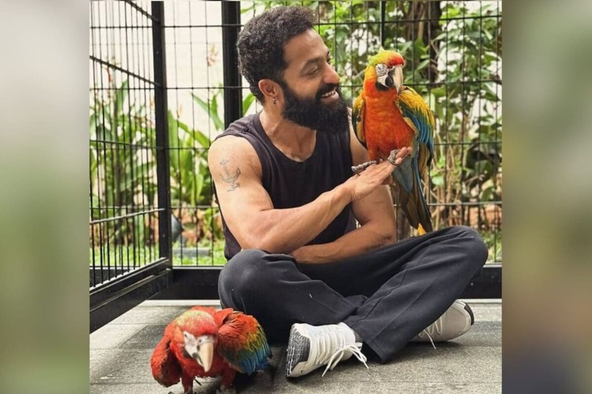 Jr NTR: జూనియర్ ఎన్టీఆర్ షాకింగ్ సర్ప్రైజ్.. కొత్త ఫ్యామిలీ మెంబర్స్‌ని పరిచయం చేసిన తారక్..!